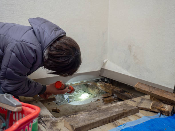 Best Real Estate Mold Inspection  in Egon City, OR