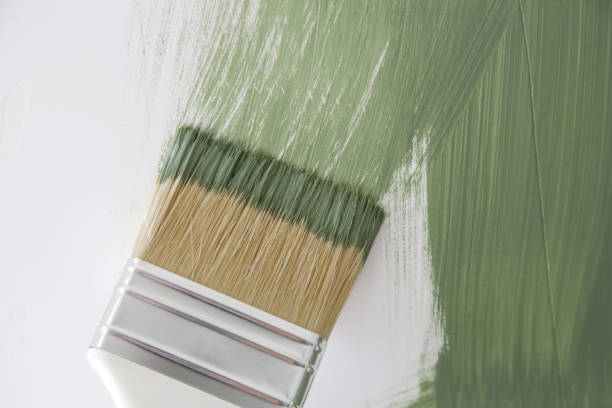 Best Mold Documentation for Insurance Claims  in Egon City, OR