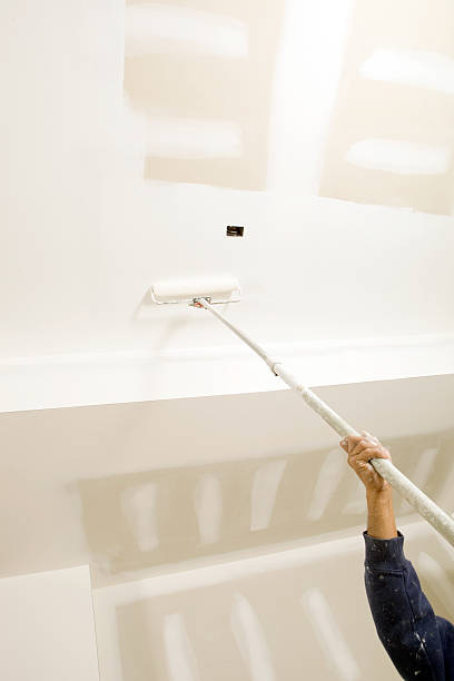 Best Black Mold Removal  in Egon City, OR